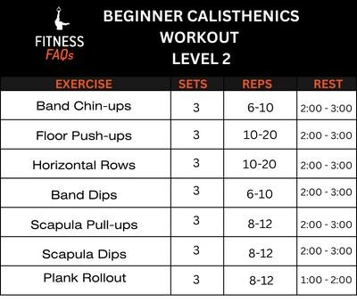 calisthenics workout pdf